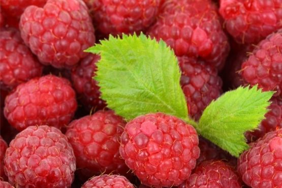 Raspberries, the Magic Skincare Ingredient